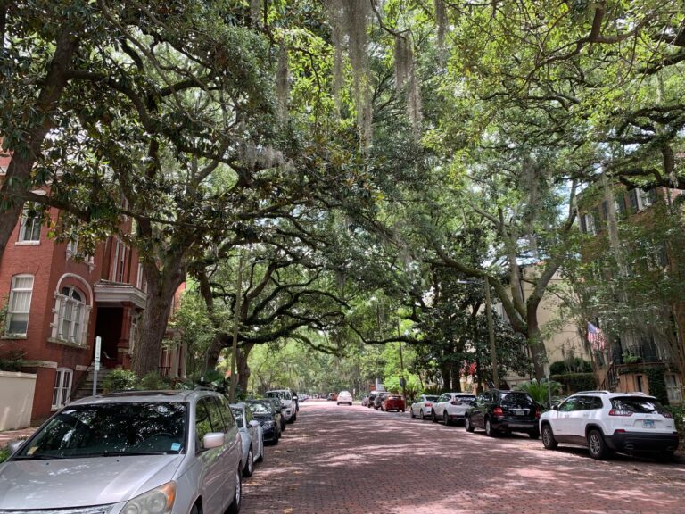 jekyll island tour from savannah